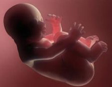 روند بررسی و صدور مجوز سقط جنین درمانی
