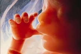 دیه و حبس ، مجازات سقط عمدی جنین